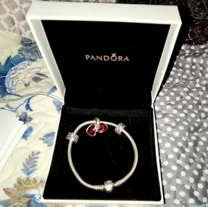 Pandora Bracelet with 1 charm